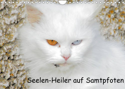 Seelen-Heiler auf Samtpfoten (Wandkalender 2023 DIN A4 quer) von Spengler,  Manfred
