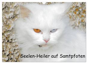 Seelen-Heiler auf Samtpfoten (Wandkalender 2024 DIN A3 quer), CALVENDO Monatskalender von Spengler,  Manfred