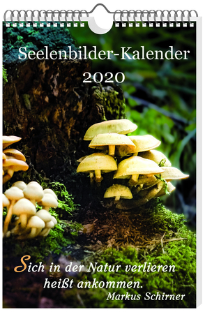 Seelenbilder-Kalender 2020 von Schirner,  Markus