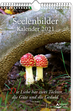 Seelenbilder-Kalender 2021 von Schirner,  Markus