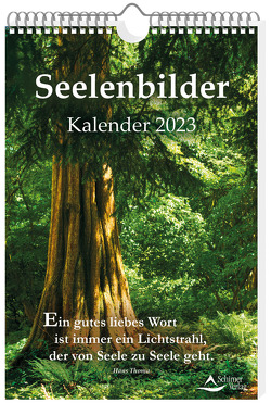 Seelenbilder-Kalender 2023 von Schirner,  Markus