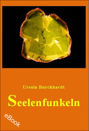 Seelenfunkeln von Burckhardt,  Ursula