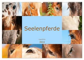 Seelenpferde – Augenblicke (Wandkalender 2024 DIN A2 quer), CALVENDO Monatskalender von Bölts,  Meike