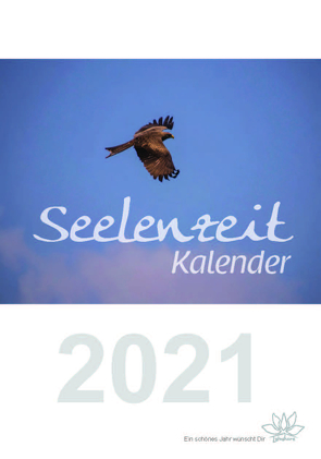 Seelenzeit-Kalender 2021 von Plate,  Christina