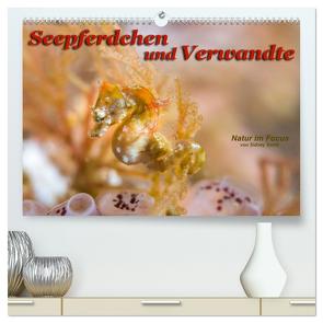 Seepferdchen und Verwandte (hochwertiger Premium Wandkalender 2024 DIN A2 quer), Kunstdruck in Hochglanz von Smith,  Sidney