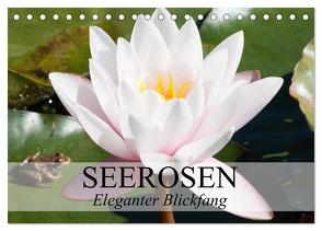 Seerosen – Eleganter Blickfang (Tischkalender 2024 DIN A5 quer), CALVENDO Monatskalender von Stanzer,  Elisabeth