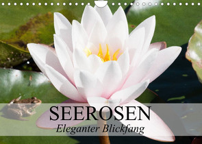 Seerosen – Eleganter Blickfang (Wandkalender 2023 DIN A4 quer) von Stanzer,  Elisabeth