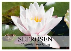 Seerosen – Eleganter Blickfang (Wandkalender 2024 DIN A2 quer), CALVENDO Monatskalender von Stanzer,  Elisabeth