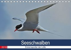 Seeschwalben – Extremsportler der Lüfte (Tischkalender 2018 DIN A5 quer) von Schaack,  René