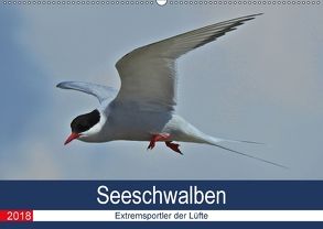 Seeschwalben – Extremsportler der Lüfte (Wandkalender 2018 DIN A2 quer) von Schaack,  René