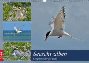 Seeschwalben – Extremsportler der Lüfte (Wandkalender 2018 DIN A3 quer) von Schaack,  René