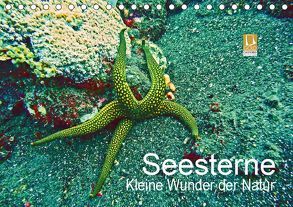 Seesterne – Kleine Wunder der Natur (Tischkalender 2019 DIN A5 quer) von Hess,  Andrea