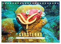 Seesterne – Kleine Wunder der Natur (Tischkalender 2024 DIN A5 quer), CALVENDO Monatskalender von Hess,  Andrea