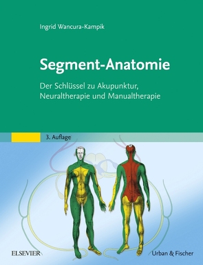 Segment-Anatomie von Wancura-Kampik,  Ingrid