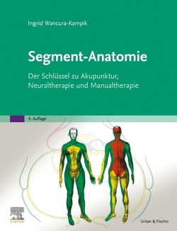 Segment-Anatomie von Wancura-Kampik,  Ingrid