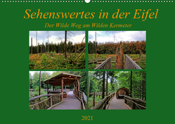 Sehenswertes in der Eifel – Der Wilde Weg am Wilden Kermeter (Wandkalender 2021 DIN A2 quer) von Klatt,  Arno