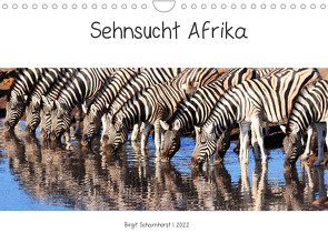 Sehnsucht Afrika – Faszinierende Tierwelt im südlichen Afrika (Wandkalender 2022 DIN A4 quer) von Scharnhorst,  Birgit