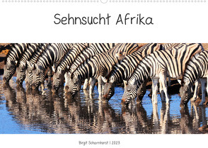 Sehnsucht Afrika – Faszinierende Tierwelt im südlichen Afrika (Wandkalender 2023 DIN A2 quer) von Scharnhorst,  Birgit
