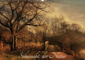 Sehnsucht der Natur (Wandkalender 2018 DIN A2 quer) von RavenArt