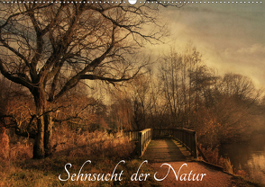 Sehnsucht der Natur (Wandkalender 2021 DIN A2 quer) von RavenArt