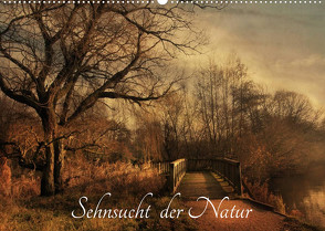 Sehnsucht der Natur (Wandkalender 2022 DIN A2 quer) von RavenArt