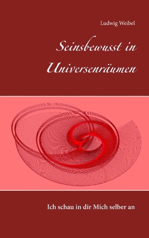 Seinsbewusst in Universenräumen von Weibel,  Ludwig