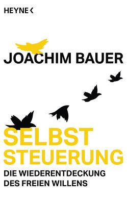 Selbststeuerung von Bauer,  Joachim