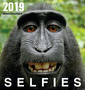 Selfies (2019) von Burckhardt,  Wolfram