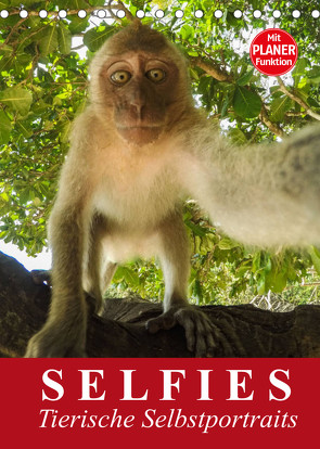 Selfies. Tierische Selbstportraits (Tischkalender 2022 DIN A5 hoch) von Stanzer,  Elisabeth