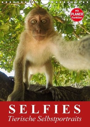 Selfies. Tierische Selbstportraits (Wandkalender 2018 DIN A4 hoch) von Stanzer,  Elisabeth