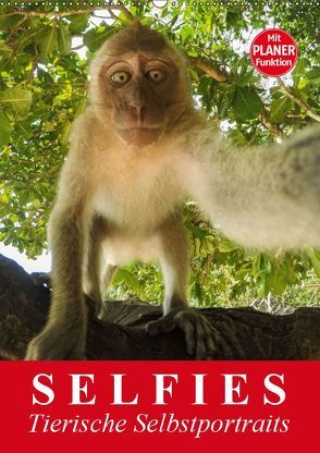 Selfies. Tierische Selbstportraits (Wandkalender 2019 DIN A2 hoch) von Stanzer,  Elisabeth