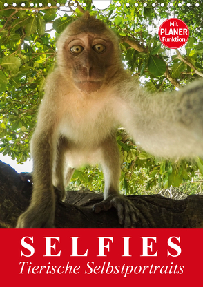 Selfies. Tierische Selbstportraits (Wandkalender 2020 DIN A4 hoch) von Stanzer,  Elisabeth