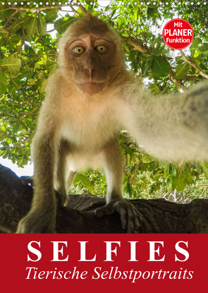 Selfies. Tierische Selbstportraits (Wandkalender 2022 DIN A3 hoch) von Stanzer,  Elisabeth