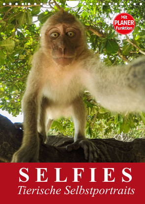 Selfies. Tierische Selbstportraits (Wandkalender 2022 DIN A4 hoch) von Stanzer,  Elisabeth