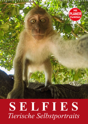 Selfies. Tierische Selbstportraits (Wandkalender 2023 DIN A2 hoch) von Stanzer,  Elisabeth