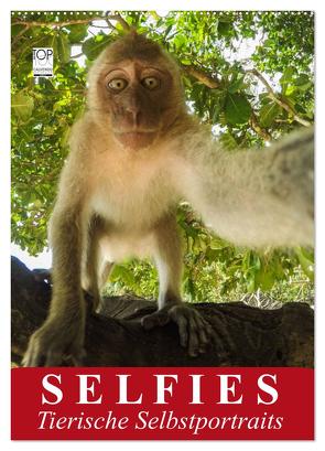 Selfies. Tierische Selbstportraits (Wandkalender 2024 DIN A2 hoch), CALVENDO Monatskalender von Stanzer,  Elisabeth