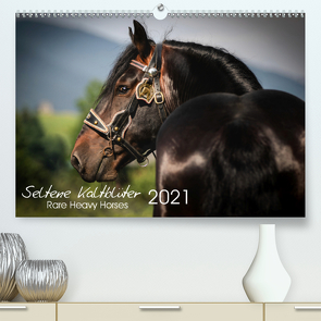 Seltene Kaltblüter – Rare Heavy Horses (Premium, hochwertiger DIN A2 Wandkalender 2021, Kunstdruck in Hochglanz) von Pixel Nomad,  The, Zahorka,  Cécile