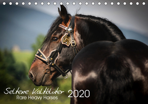 Seltene Kaltblüter – Rare Heavy Horses (Tischkalender 2020 DIN A5 quer) von Pixel Nomad,  The, Zahorka,  Cécile