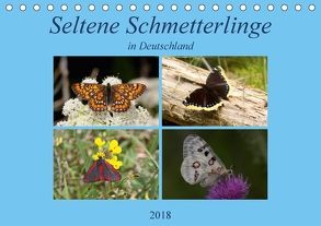 Seltene Schmetterlinge in Deutschland (Tischkalender 2018 DIN A5 quer) von Erlwein,  Winfried