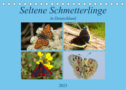 Seltene Schmetterlinge in Deutschland (Tischkalender 2023 DIN A5 quer) von Erlwein,  Winfried