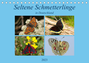 Seltene Schmetterlinge in Deutschland (Tischkalender 2023 DIN A5 quer) von Erlwein,  Winfried