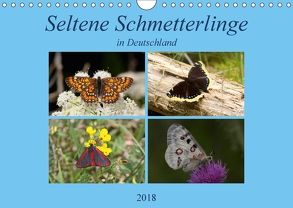Seltene Schmetterlinge in Deutschland (Wandkalender 2018 DIN A4 quer) von Erlwein,  Winfried