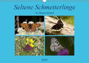 Seltene Schmetterlinge in Deutschland (Wandkalender 2019 DIN A3 quer) von Erlwein,  Winfried