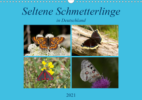 Seltene Schmetterlinge in Deutschland (Wandkalender 2021 DIN A3 quer) von Erlwein,  Winfried