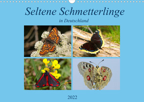 Seltene Schmetterlinge in Deutschland (Wandkalender 2022 DIN A3 quer) von Erlwein,  Winfried