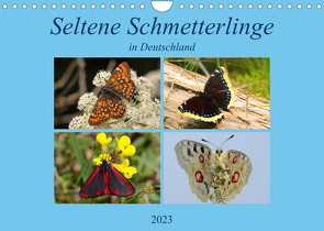 Seltene Schmetterlinge in Deutschland (Wandkalender 2023 DIN A4 quer) von Erlwein,  Winfried