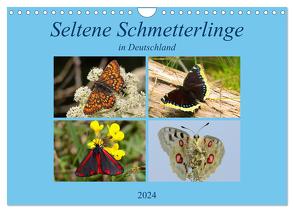 Seltene Schmetterlinge in Deutschland (Wandkalender 2024 DIN A4 quer), CALVENDO Monatskalender von Erlwein,  Winfried