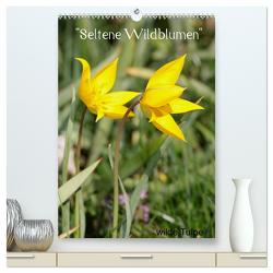 Seltene Wildblumen (hochwertiger Premium Wandkalender 2024 DIN A2 hoch), Kunstdruck in Hochglanz von Erlwein,  Winfried