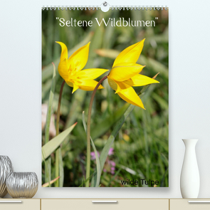 „Seltene Wildblumen“ (Premium, hochwertiger DIN A2 Wandkalender 2023, Kunstdruck in Hochglanz) von Erlwein,  Winfried
