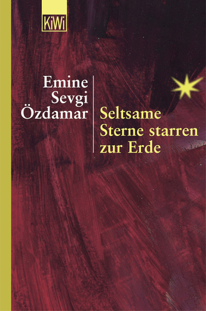 Seltsame Sterne starren zur Erde von Özdamar,  Emine Sevgi